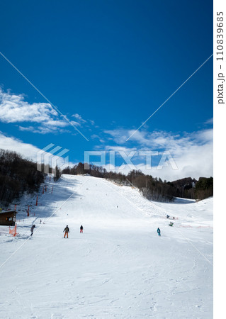 かたしな高原スキー場 110839685