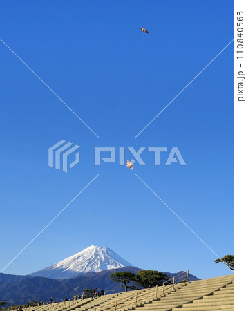静岡県 千本松原の正月風景 1月 静岡県 千本松原の正月風景 1月 110840563