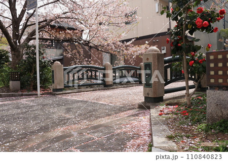 京都白川 京都白川 110840823
