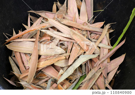 Yellow brown dried bamboo leaves 110840980