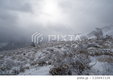 美しい雪景色　霧ヶ峰高原 110841126