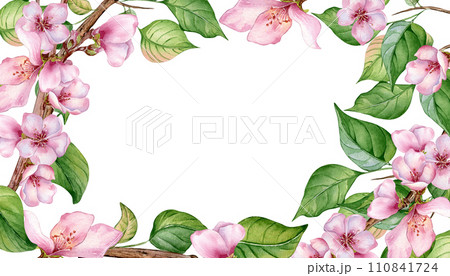 Watercolor floral board with pink blooming branch isolated on white. Design template of floral frame with pink white flowers hand drawn. Element for wedding invitation, card, packaging, label product Watercolor floral board with pink blooming branch isolated on white. Design template of floral frame with pink white flowers hand drawn. Element for wedding invitation, card, packaging, label product 110841724
