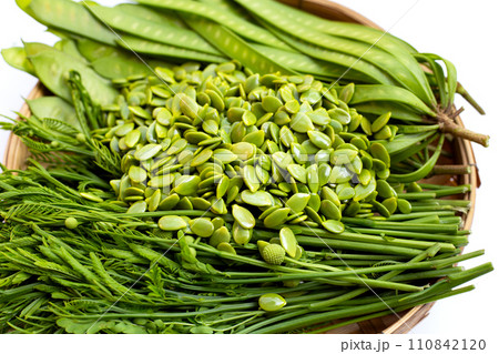 Leucaena leucocephala isolated on white background 110842120