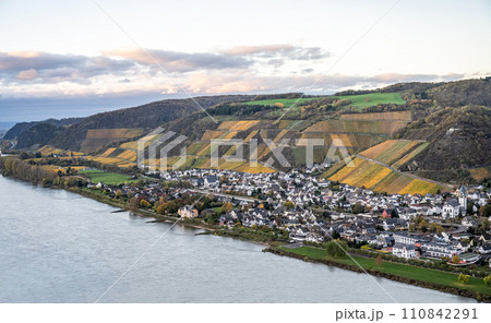 Autumn Vibes Wineyards Germany water of Rhine river in andernach near koblenz water transport freight ships Fall Colors Autumn Vibes Wineyards Germany water of Rhine river in andernach near koblenz water transport freight ships Fall Colors 110842291