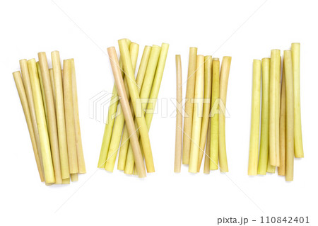 Lotus stem on white background. 110842401