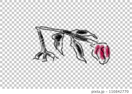枯萎的花朵插畫 枯萎的花朵插畫 110842770