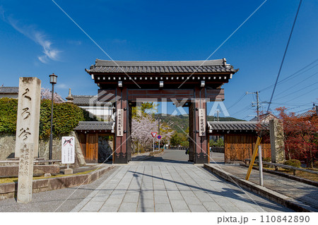 京都 金戒光明寺の高麗門(総門) 京都 金戒光明寺の高麗門(総門) 110842890