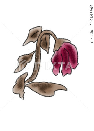 枯れた花のイラスト素材 - PIXTA