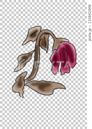 枯れそうな花 枯れそうな花 110842906