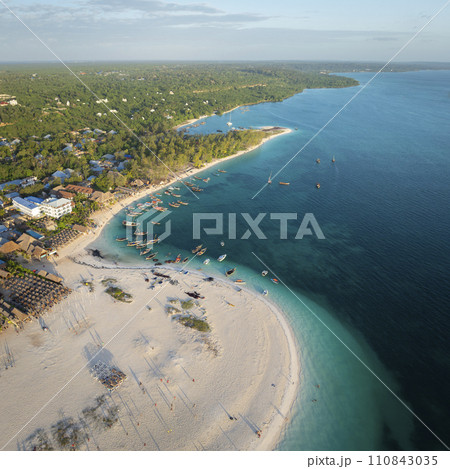 Zanzibar panorama of the fishing boats on tropical sea coast with sandy beach 110843035