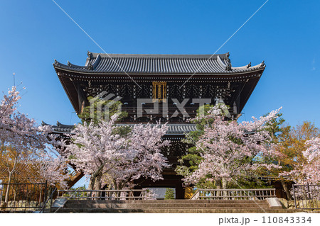 京都 金戒光明寺 山門の春景色 京都 金戒光明寺 山門の春景色 110843334
