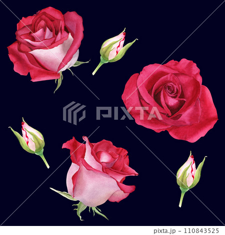Watercolor seamless pattern with flower Rose blooms and buds. Botanical watercolor illustration. For wrapping wallpaper fabric textile 110843525