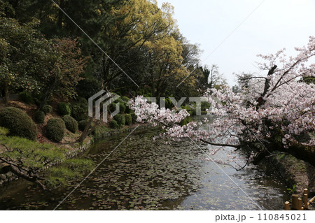 松山市にある日本100名城80番の湯築城跡⑦ 松山市にある日本100名城80番の湯築城跡⑦ 110845021