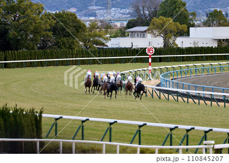 京都競馬場 芝コース第一コーナー 京都競馬場 芝コース第一コーナー 110845207