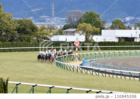 京都競馬場 芝コース第一コーナー 京都競馬場 芝コース第一コーナー 110845208
