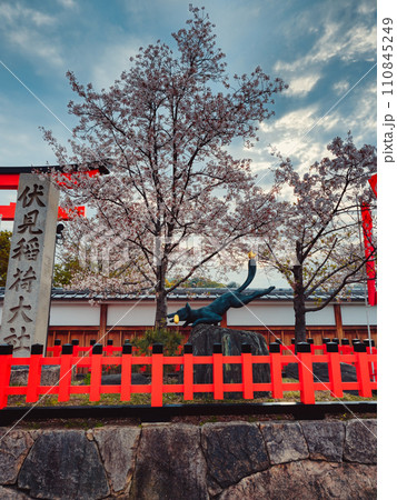 Red structures and vivid trees in the Japanese spring days 110845249