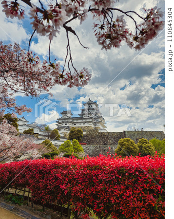 Japan and its wonders ready for spring Japan and its wonders ready for spring 110845304