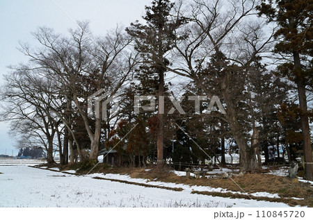 福島県会津若松市神指町の熊野宮神社 110845720