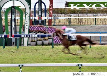 京都競馬場芝ゴール前 京都競馬場芝ゴール前 110845800