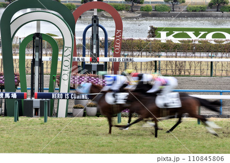 京都競馬場芝ゴール前 京都競馬場芝ゴール前 110845806