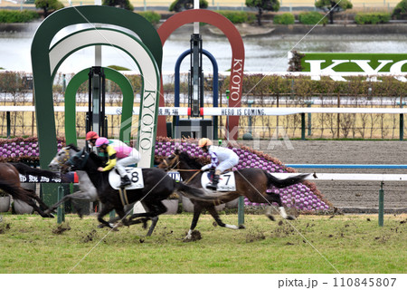 京都競馬場芝ゴール前 京都競馬場芝ゴール前 110845807