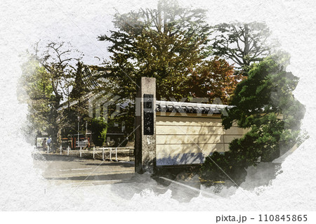 水彩画風 寛永寺 境内 東京都台東区 水彩画風 寛永寺 境内 東京都台東区 110845865