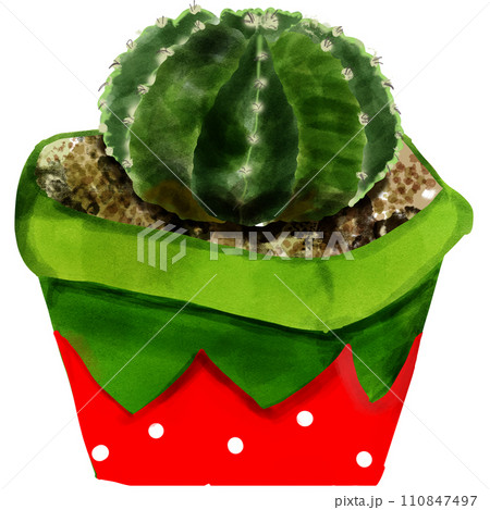 Green cute cactus Ind red pot 110847497