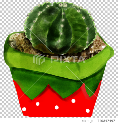 Green cute cactus Ind red pot 110847497