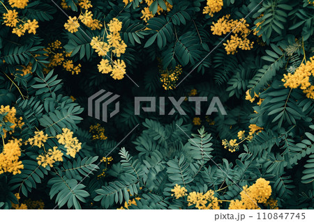 AI-generated content. a lush tree is adorned with a profusion of yellow mimosa 110847745