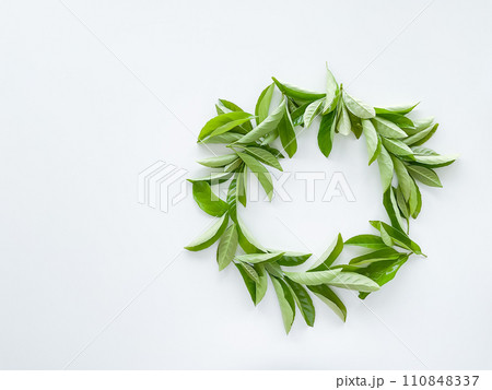 frame workspace with green leaves on white background. lay flat, top view frame workspace with green leaves on white background. lay flat, top view 110848337
