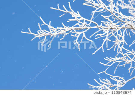 樹氷 110848674