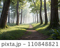 太陽の光が差し込む森の小道【AI生成画像】 110848821