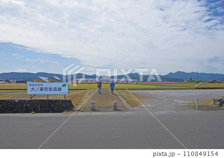福岡県築上郡道の駅裏大ノ瀬官衛遺跡のコスモス畑 110849154