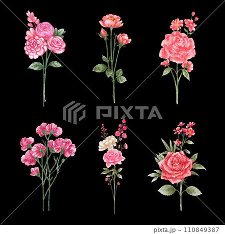 Roses . Watercolor painting valentine's day elements . Set 8 of 10 . Black isolate background . Illustration . Roses . Watercolor painting valentine's day elements . Set 8 of 10 . Black isolate background . Illustration . 110849387