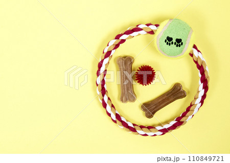 Accessories for Pets. Treats, food, balls, a ring for playing with a dog 110849721