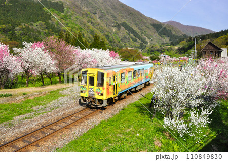 花桃の里を走る列車 花桃の里を走る列車 110849830