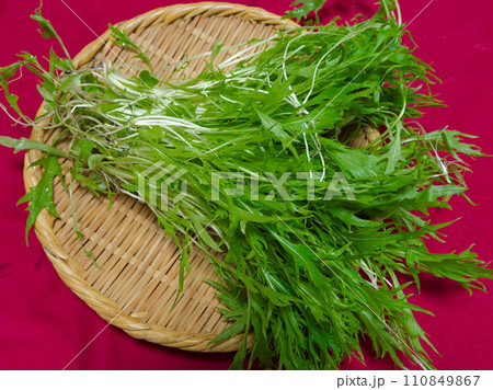 収穫した新鮮な野菜 収穫した新鮮な野菜 110849867