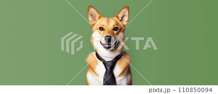 Funny dog in a tie on a colored background. 110850094