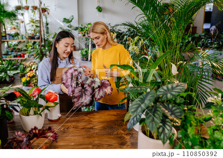 Young adult Asian female employee at the garden center showing plants and lush foliage to a female customer. Young adult Asian female employee at the garden center showing plants and lush foliage to a female customer. 110850392
