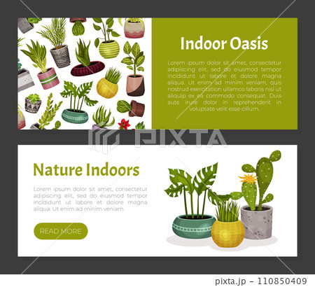 House Plant Banner Design with Pot Vector Template House Plant Banner Design with Pot Vector Template 110850409