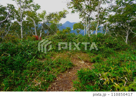 ペテガリ岳登山道稜線ピークと1839峰 110850417