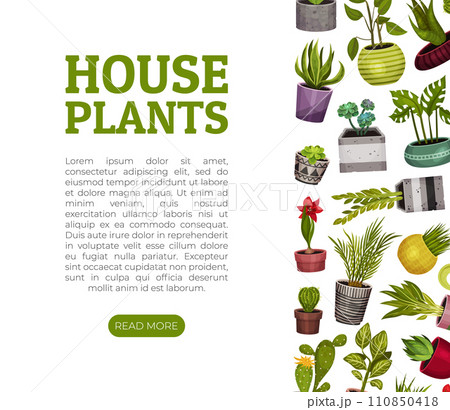 House Plant Banner Design with Pot Vector Template House Plant Banner Design with Pot Vector Template 110850418