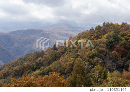 八ヶ岳から紅葉の山を望む 八ヶ岳から紅葉の山を望む 110851165