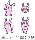 可愛いうさぎの手描き風イラスト 110851256