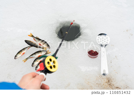 Winter fishing concept with fishing rod 110851432