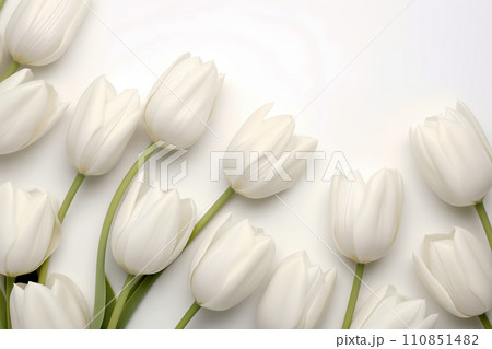 White tulips on white background monocolor. Spring greeting flowers white petals and light green stems and leaves. Nature bouquet floral photo detailed top view close up 110851482