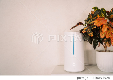 Ultrasonic humidifier next to a house plant against a white background 110851520