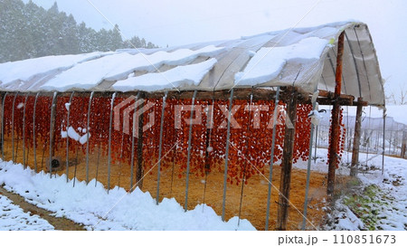 大和町松梅地区寒波集来 大和町松梅地区寒波集来 110851673
