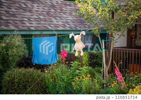 a big toy rabbit and a blue T-shirt hanging on a rope and drying in the sun in the summer garden  110851714