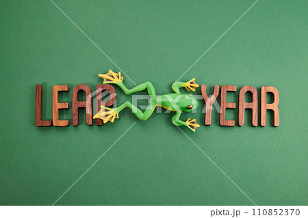 LEAP YEAR. Concept for date 29 month February 110852370